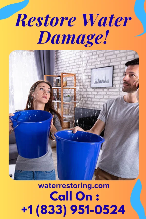 water restoration Local Water Damage Specialists Great Falls