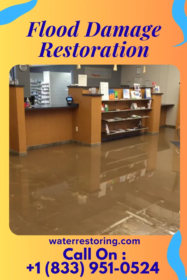 Flood Damage Restoration in Great Falls, SC