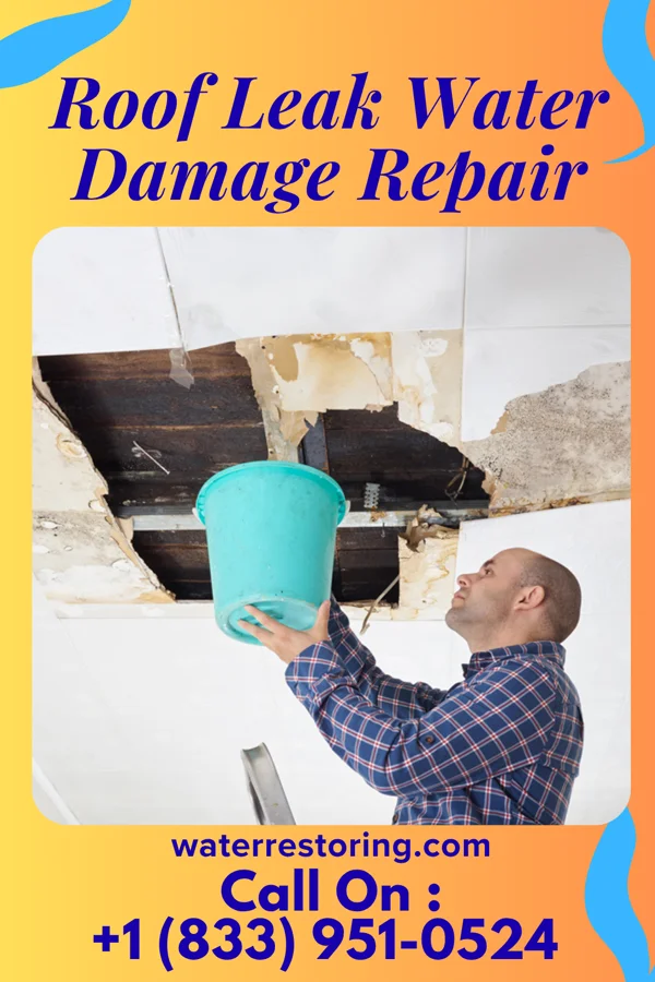 Roof Leak Water Damage Repair in Great Falls, SC