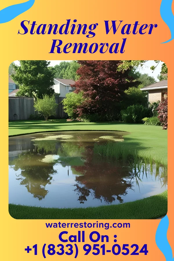 Standing Water Removal in Great Falls, SC